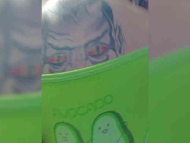 RedFox9595 RedFox9595