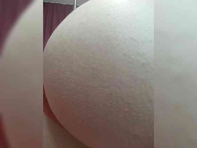 RedFox9595 webcam