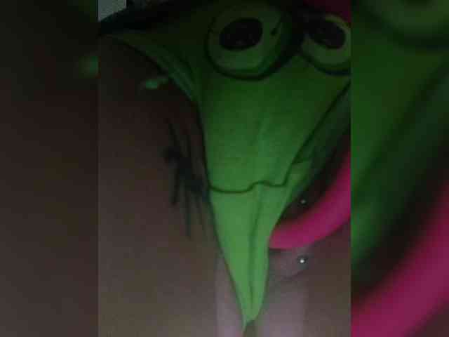 RedFox9595 RedFox9595