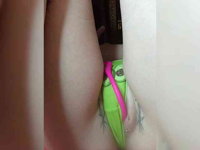 RedFox9595 RedFox9595