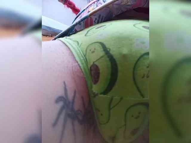 RedFox9595 webcam