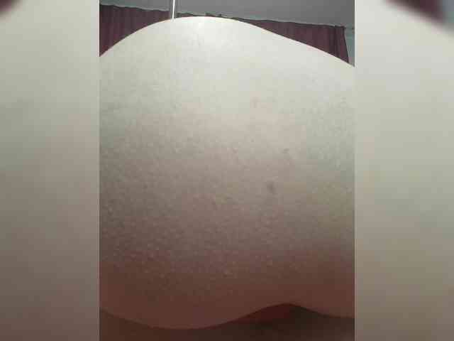 RedFox9595 webcam