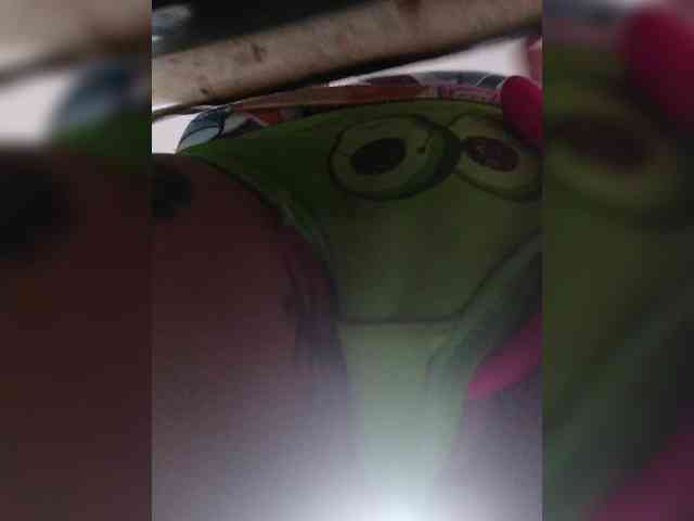 RedFox9595 RedFox9595