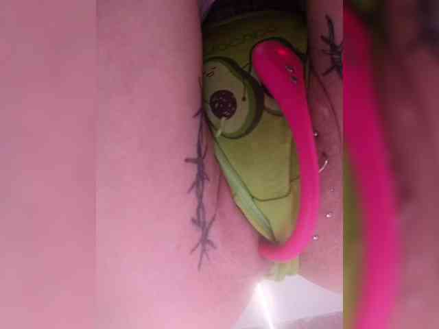 RedFox9595 RedFox9595