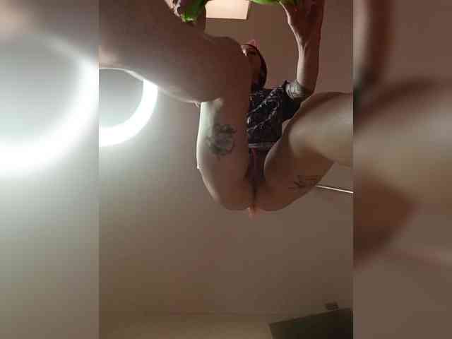 RedFox9595 RedFox9595