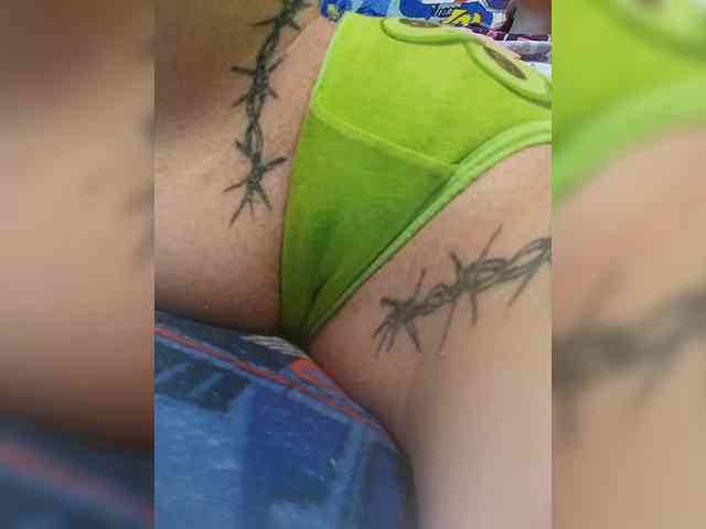 RedFox9595 RedFox9595