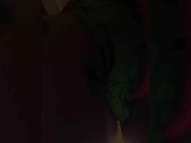 RedFox9595 webcam