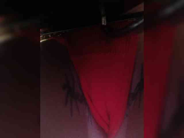 RedFox9595 webcam