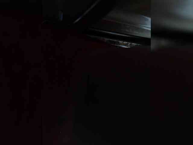 RedFox9595 Live Webcam on BongaCams