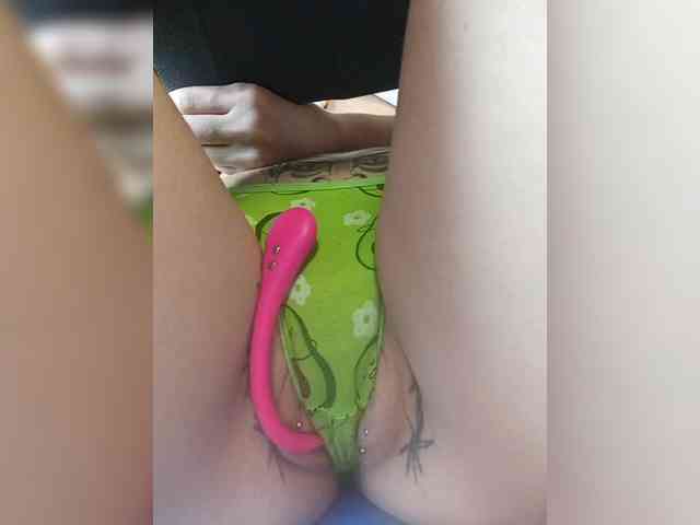 RedFox9595 RedFox9595