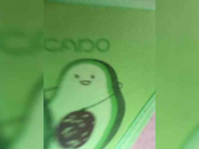 RedFox9595 RedFox9595