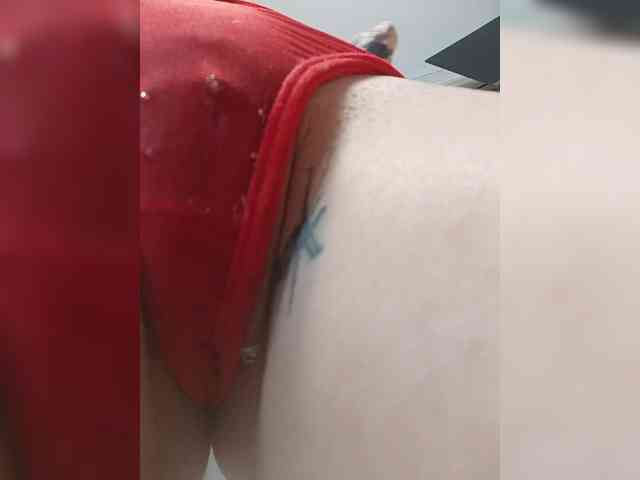 RedFox9595 webcam