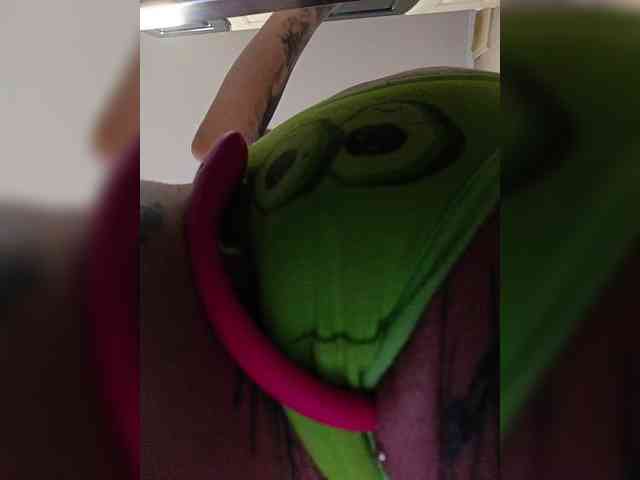 RedFox9595 RedFox9595