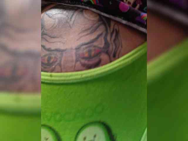 RedFox9595 RedFox9595