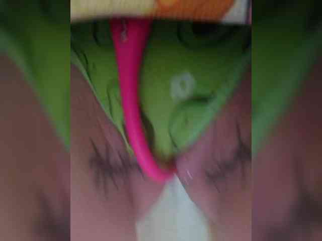 RedFox9595 RedFox9595