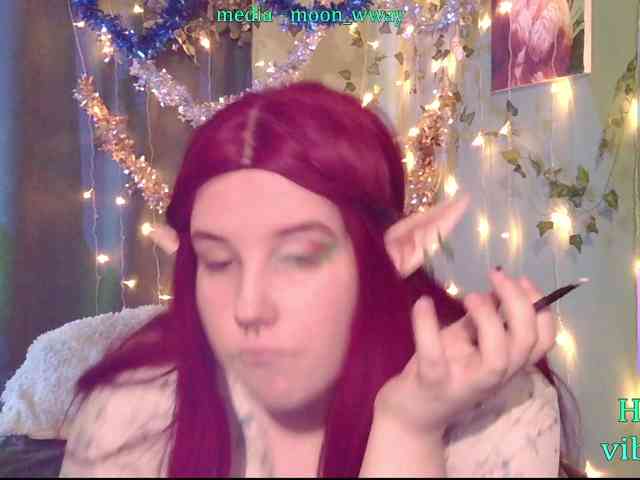 MoonWayWithMemes webcam