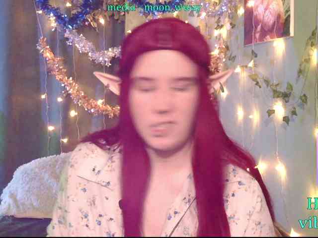 MoonWayWithMemes webcam