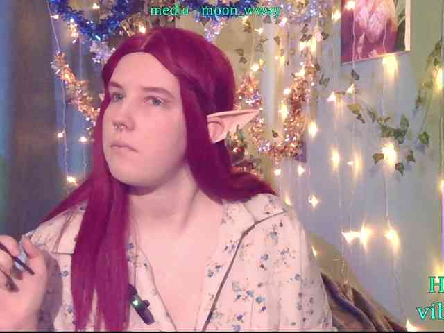 MoonWayWithMemes webcam