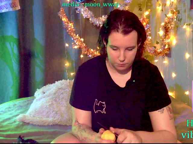 MoonWayWithMemes webcam