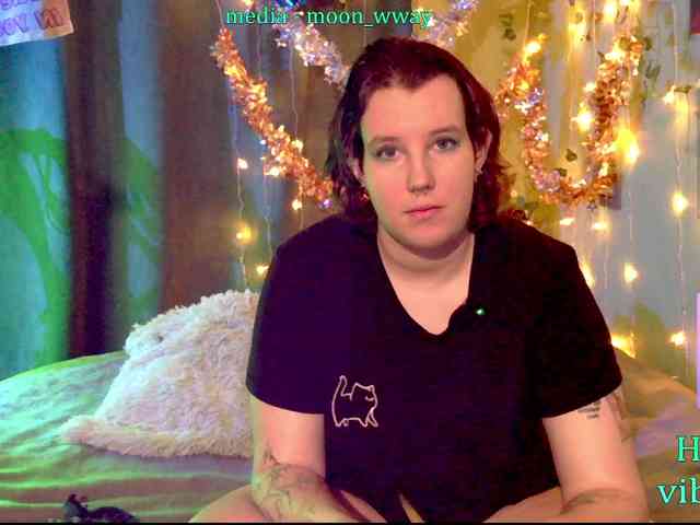 MoonWayWithMemes webcam