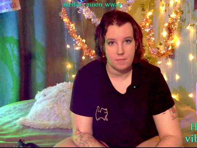 MoonWayWithMemes webcam