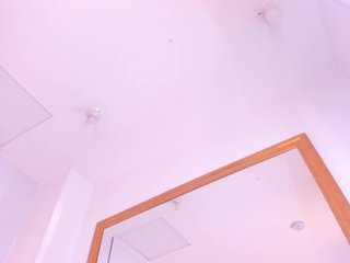 DakotaWangi Porn Show