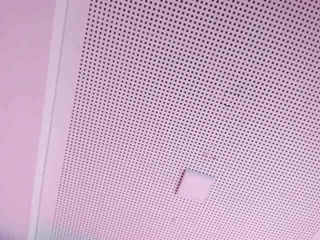 Pamelavinxen Pamelavinxen