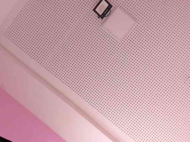 Pamelavinxen Pamelavinxen