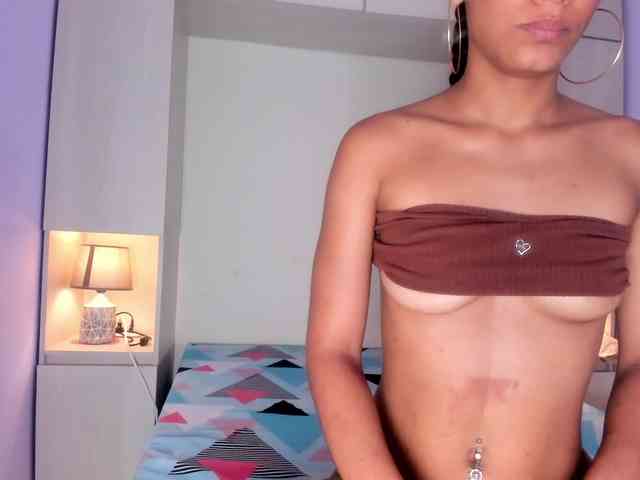 Pamelavinxen Pamelavinxen