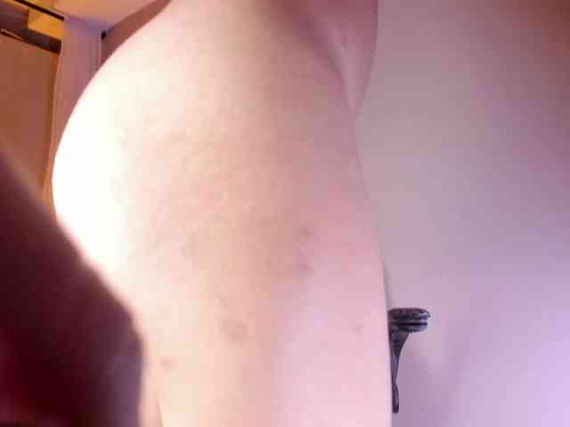 Pamelavinxen Pamelavinxen