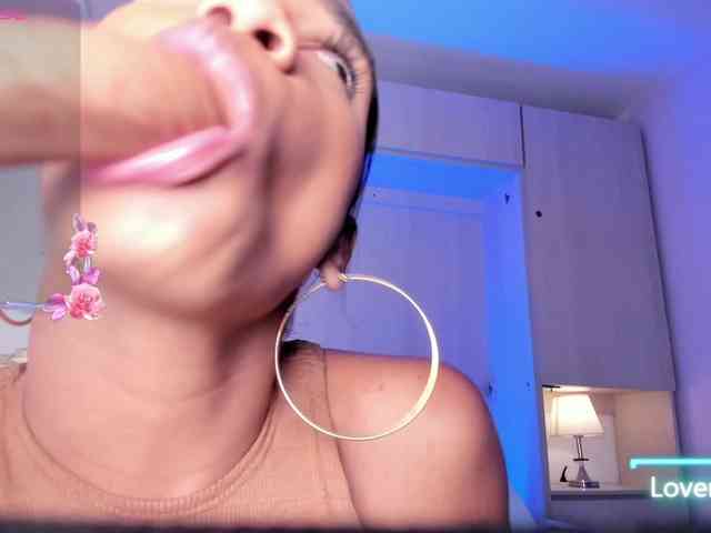 Pamelavinxen Pamelavinxen