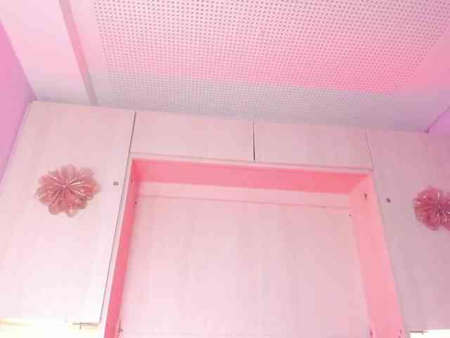 Pamelavinxen Pamelavinxen