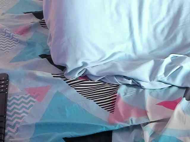 Pamelavinxen Pamelavinxen