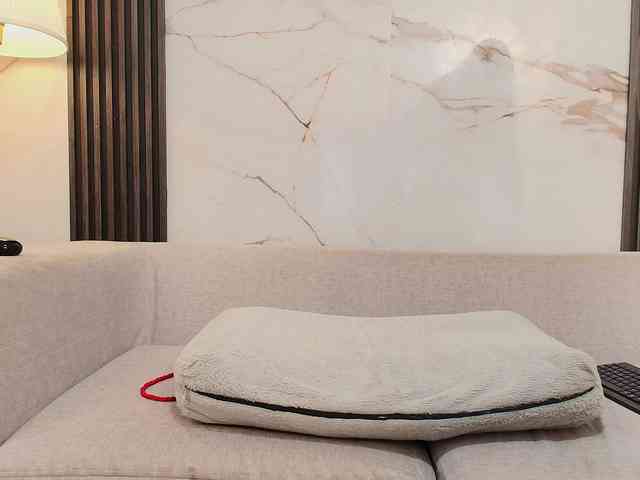 MelaniePatton webcam