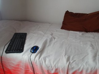 AshleyT255 Porn Show