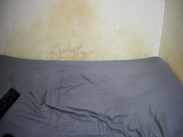 bigass-choco's BongaCams show and profile