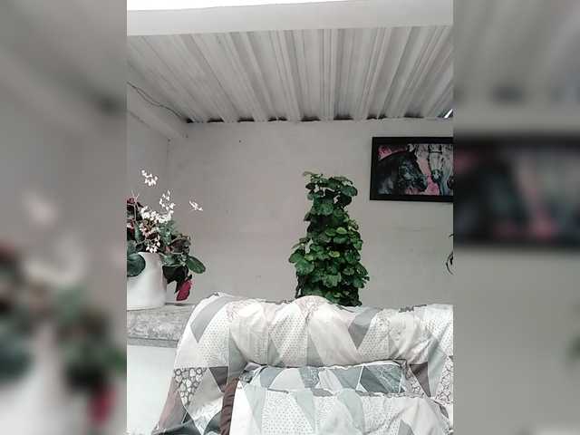 le modèle Ninfa-88 est en webcam porno dans un show sur le site bongacams, il possède les tags suivants: Latino/Hispanic,Brunette,Shaved