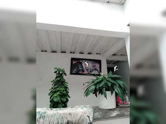 Ninfa-88's BongaCams show and profile