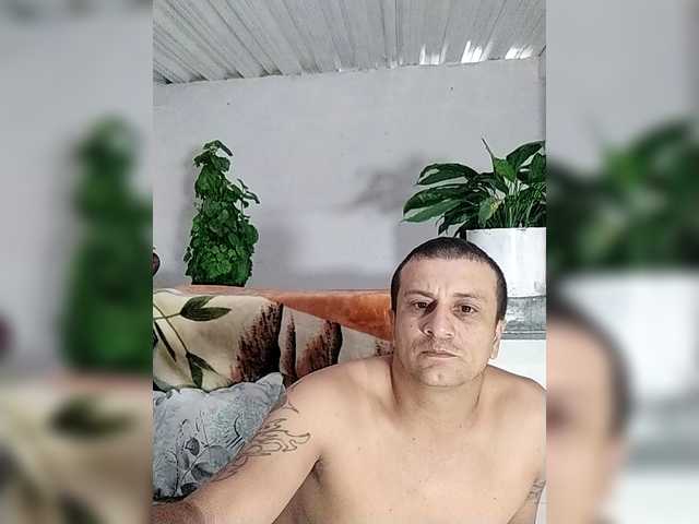 Ninfa-88's BongaCams show and profile