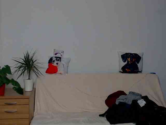 ZeinMiracles ZeinMiracles