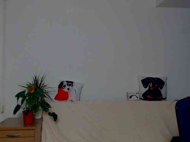 ZeinMiracles ZeinMiracles