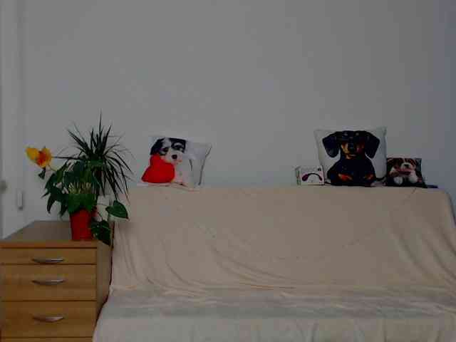 ZeinMiracles ZeinMiracles