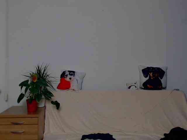 ZeinMiracles ZeinMiracles