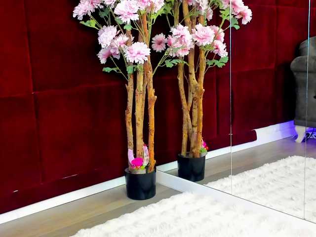 SugarMaple's BongaCams show and profile