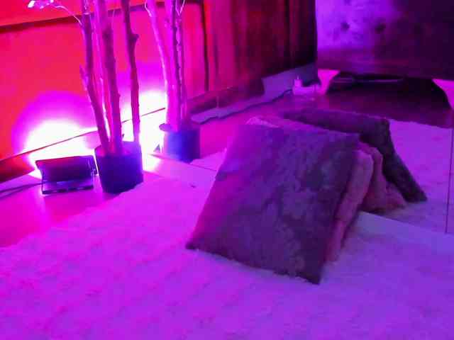 SugarMaple webcam