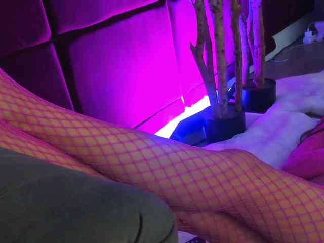 SugarMaple webcam