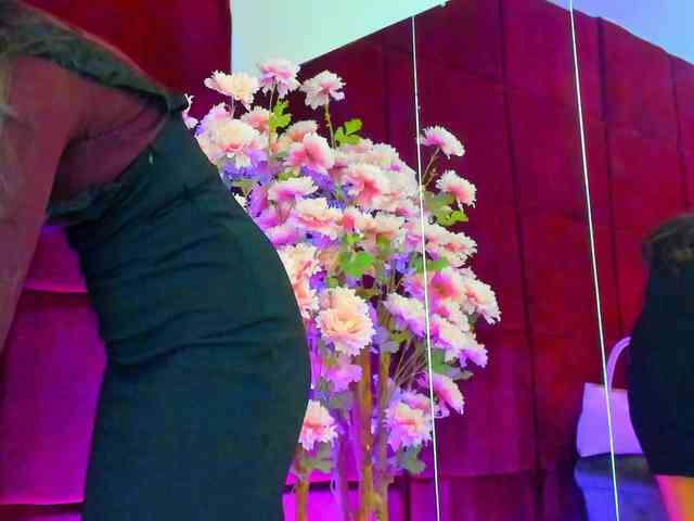 SugarMaple webcam