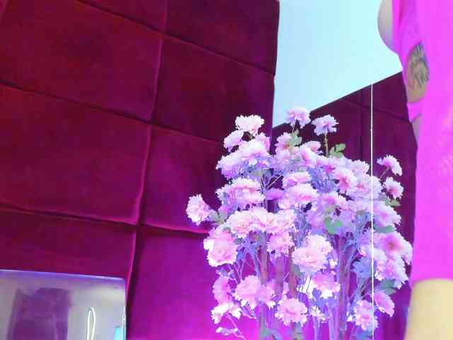 SugarMaple webcam