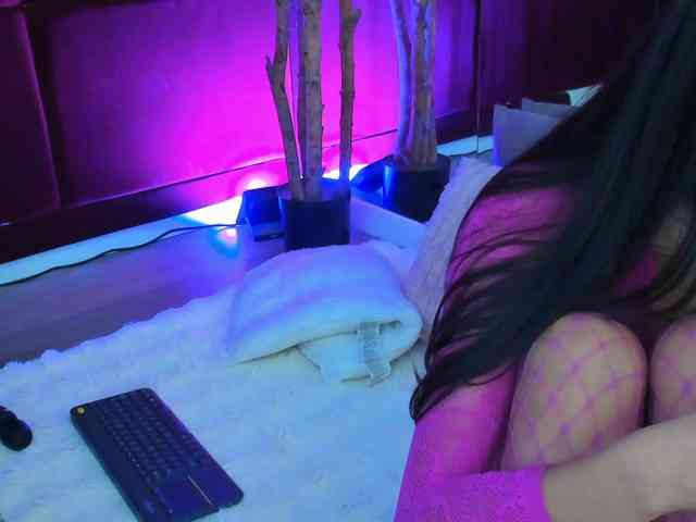 SugarMaple webcam