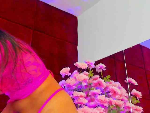 SugarMaple webcam